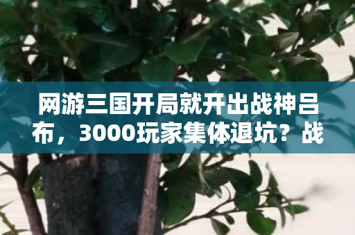 网游三国开局就开出战神吕布,3000玩家集体退坑?战神榜首ID变乱码!网吧老炮,这破事我熟 网游三国开局就开出战神吕布,3000玩家集体退坑?战神榜首ID变乱码!网吧老炮,这破事我熟