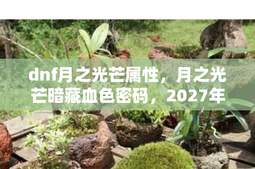 dnf月之光芒属性,月之光芒暗藏血色密码,2027年贝尔玛尔悬案谁是真凶? dnf月之光芒属性,月之光芒暗藏血色密码,2027年贝尔玛尔悬案谁是真凶?