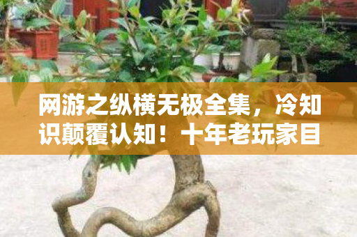 网游之纵横无极全集，冷知识颠覆认知！十年老玩家目瞪口呆，网游里最深的坑竟是我自己