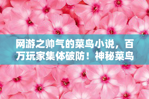 网游之帅气的菜鸟小说，百万玩家集体破防！神秘菜鸟军团竟让全服大佬集体自闭？