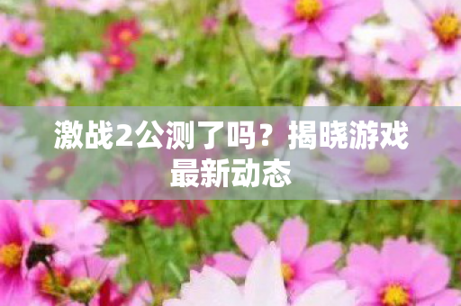 揭晓游戏最新动态图片
