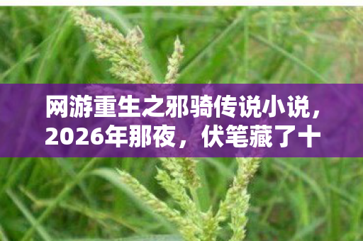 网游重生之邪骑传说小说,2026年那夜,伏笔藏了十年,再见时我鼻子一酸 网游重生之邪骑传说小说,2026年那夜,伏笔藏了十年,再见时我鼻子一酸