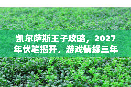 凯尔萨斯王子攻略,2027年伏笔揭开,游戏情缘三年守候,凌晨三点聊天记录让我鼻子一酸 凯尔萨斯王子攻略,2027年伏笔揭开,游戏情缘三年守候,凌晨三点聊天记录让我鼻子一酸