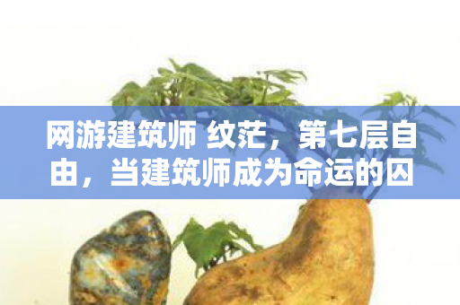 网游建筑师 纹茫,第七层自由,当建筑师成为命运的囚徒与造物主 网游建筑师 纹茫,第七层自由,当建筑师成为命运的囚徒与造物主