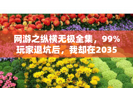 网游之纵横无极全集，99%玩家退坑后，我却在2035年发现这游戏藏着惊天秘密！