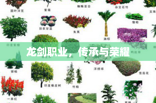 传承与荣耀图片