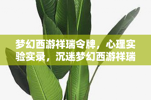 梦幻西游祥瑞令牌,心理实验实录,沉迷梦幻西游祥瑞的细思极恐自我麻醉 梦幻西游祥瑞令牌,心理实验实录,沉迷梦幻西游祥瑞的细思极恐自我麻醉