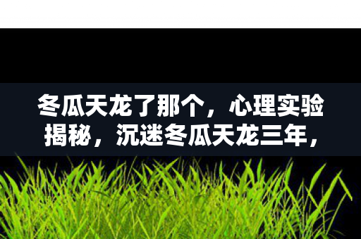 冬瓜天龙了那个，心理实验揭秘，沉迷冬瓜天龙三年，细思极恐的自我囚禁