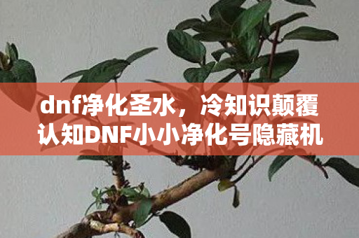 dnf净化圣水，冷知识颠覆认知DNF小小净化号隐藏机制曝光，十年老玩家目瞪口呆！