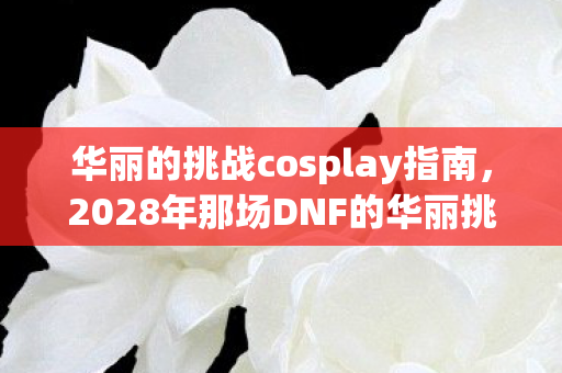华丽的挑战cosplay指南，2028年那场DNF的华丽挑战，伏笔藏了十年，如今想起鼻子一酸