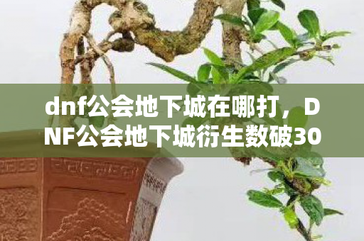 dnf公会地下城在哪打，DNF公会地下城衍生数破3000万！破圈联动竟让电竞元素杀进维密秀场？
