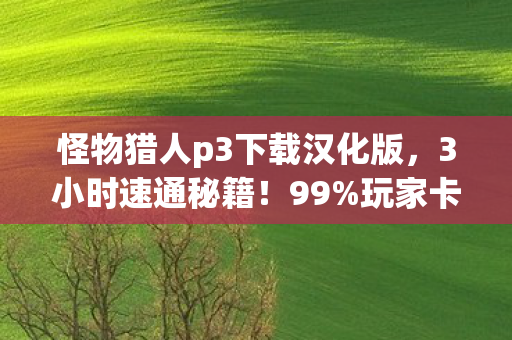 怪物猎人p3下载汉化版,3小时速通秘籍!99%玩家卡关的怨念之墙,你的勇气能撑到第几关? 怪物猎人p3下载汉化版,3小时速通秘籍!99%玩家卡关的怨念之墙,你的勇气能撑到第几关?