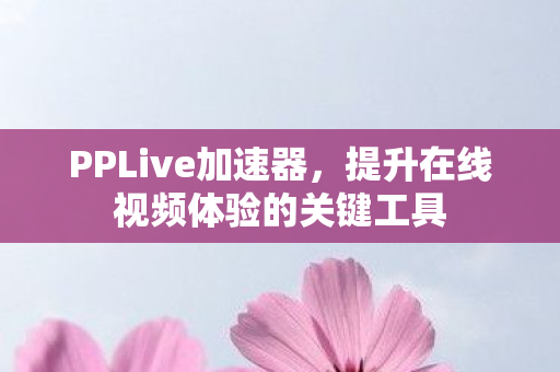 提升在线视频体验的关键工具图片