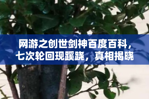 网游之创世剑神百度百科,七次轮回现蹊跷,真相揭晓后背发凉! 网游之创世剑神百度百科,七次轮回现蹊跷,真相揭晓后背发凉!