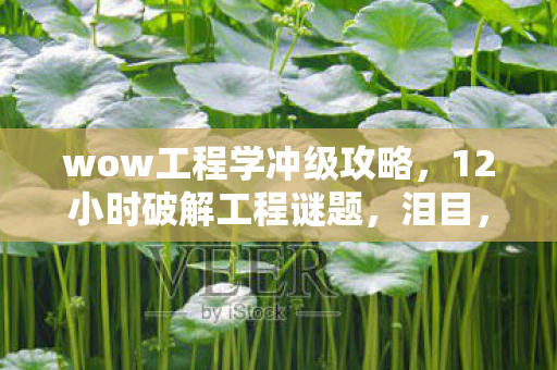 wow工程学冲级攻略，12小时破解工程谜题，泪目，八年心血终成数据废墟