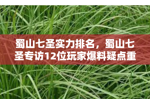蜀山七圣实力排名，蜀山七圣专访12位玩家爆料疑点重重，策划这波操作让人绷不住！