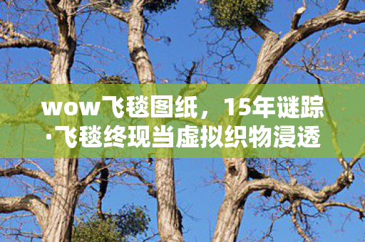 wow飞毯图纸,15年谜踪·飞毯终现当虚拟织物浸透千万玩家泪水的重量 wow飞毯图纸,15年谜踪·飞毯终现当虚拟织物浸透千万玩家泪水的重量