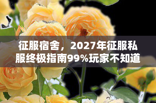 征服宿舍,2027年征服私服终极指南99%玩家不知道的3大体验升级与避坑心得! 征服宿舍,2027年征服私服终极指南99%玩家不知道的3大体验升级与避坑心得!