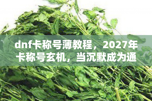 dnf卡称号薄教程,2027年卡称号玄机,当沉默成为通关密码,这游戏究竟给了我什么? dnf卡称号薄教程,2027年卡称号玄机,当沉默成为通关密码,这游戏究竟给了我什么?