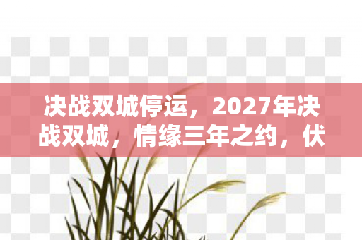 决战双城停运,2027年决战双城,情缘三年之约,伏笔揭开时,我鼻子一酸 决战双城停运,2027年决战双城,情缘三年之约,伏笔揭开时,我鼻子一酸
