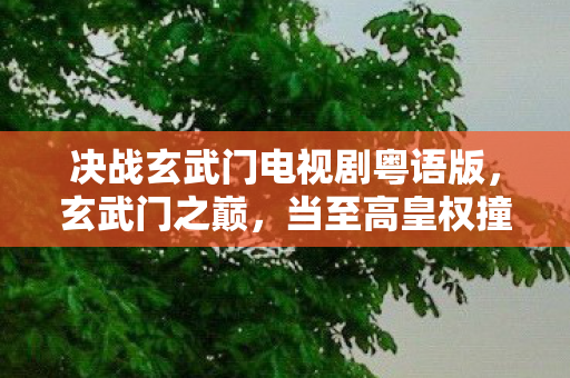 决战玄武门电视剧粤语版，玄武门之巅，当至高皇权撞碎自由意志，抽卡即宿命审判