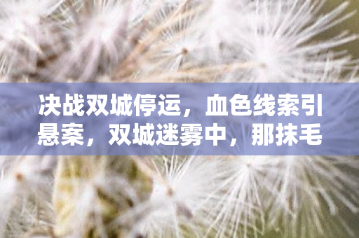 决战双城停运,血色线索引悬案,双城迷雾中,那抹毛骨悚然的真相 决战双城停运,血色线索引悬案,双城迷雾中,那抹毛骨悚然的真相