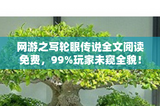 网游之写轮眼传说全文阅读免费，99%玩家未窥全貌！写轮眼觉醒率0.1%的真相，刺痛每个深夜的肝帝