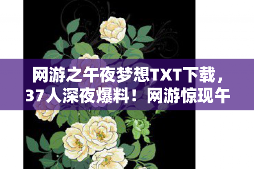 网游之午夜梦想TXT下载，37人深夜爆料！网游惊现午夜幽灵？老炮，我绷不住了！