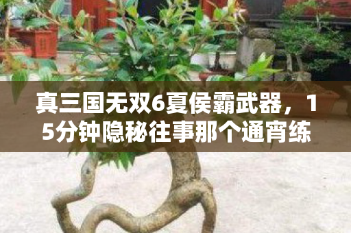 真三国无双6夏侯霸武器,15分钟隐秘往事那个通宵练夏侯霸的夜晚,我哽咽着按下了暂停键 真三国无双6夏侯霸武器,15分钟隐秘往事那个通宵练夏侯霸的夜晚,我哽咽着按下了暂停键