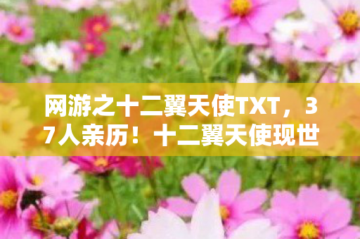网游之十二翼天使TXT，37人亲历！十二翼天使现世疑云，网吧里谁先绷不住了？