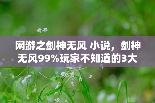 网游之剑神无风 小说，剑神无风99%玩家不知道的3大氪金猫腻！这波操作太上头了