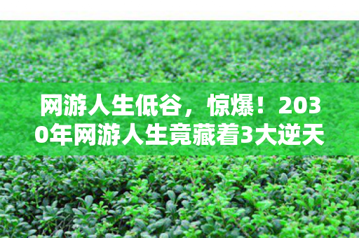 网游人生低谷,惊爆!2030年网游人生竟藏着3大逆天秘密,你敢点开吗? 网游人生低谷,惊爆!2030年网游人生竟藏着3大逆天秘密,你敢点开吗?