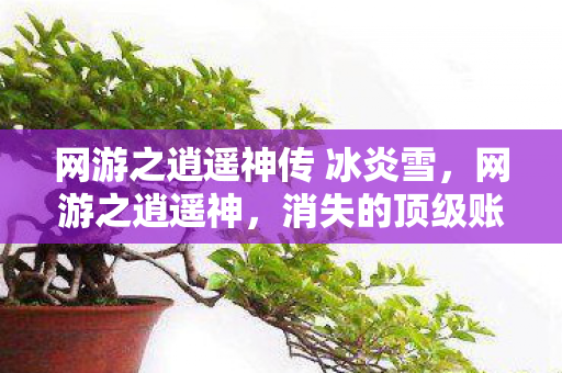 网游之逍遥神传 冰炎雪,网游之逍遥神,消失的顶级账号与服务器深处的血色代码 网游之逍遥神传 冰炎雪,网游之逍遥神,消失的顶级账号与服务器深处的血色代码