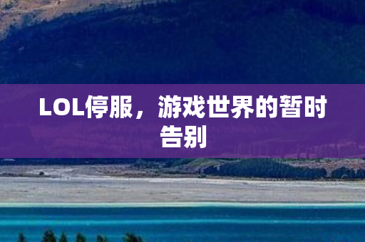 游戏世界的暂时告别图片