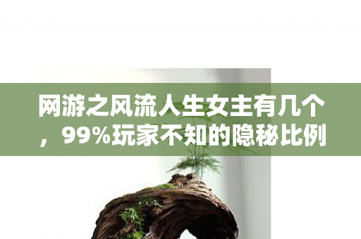 网游之风流人生女主有几个,99%玩家不知的隐秘比例,风流背后竟藏着这扎心真相! 网游之风流人生女主有几个,99%玩家不知的隐秘比例,风流背后竟藏着这扎心真相!