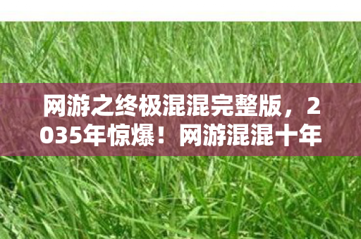 网游之终极混混完整版，2035年惊爆！网游混混十年逆袭，背后真相震撼全网！