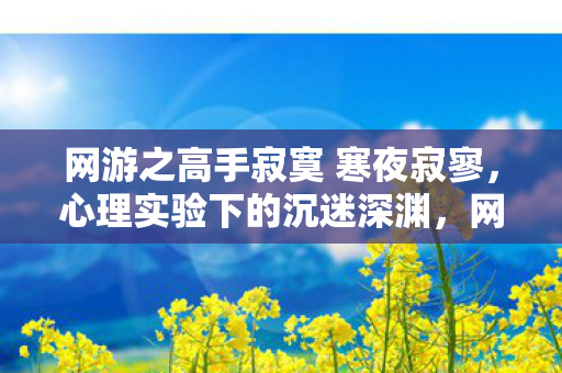 网游之高手寂寞 寒夜寂寥，心理实验下的沉迷深渊，网游高手的细思极恐自白