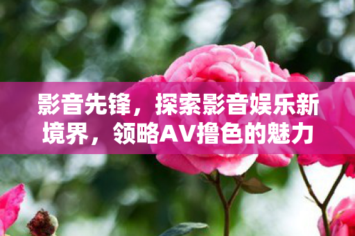 探索影音娱乐新境界图片