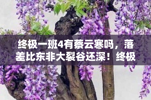 终极一班4有蔡云寒吗,落差比东非大裂谷还深!终极一班4真相,笑着骂完,哭着上线 终极一班4有蔡云寒吗,落差比东非大裂谷还深!终极一班4真相,笑着骂完,哭着上线