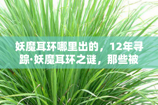 妖魔耳环哪里出的,12年寻踪·妖魔耳环之谜,那些被时光掩埋的泪目真相 妖魔耳环哪里出的,12年寻踪·妖魔耳环之谜,那些被时光掩埋的泪目真相