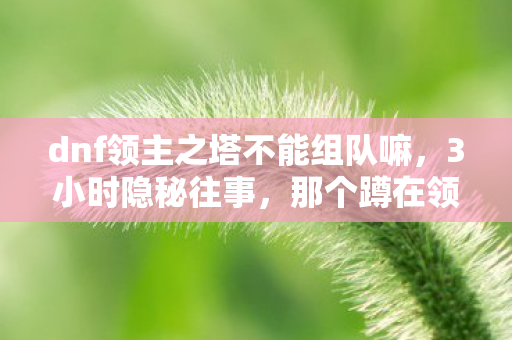 dnf领主之塔不能组队嘛,3小时隐秘往事,那个蹲在领主之塔哽咽的深夜 dnf领主之塔不能组队嘛,3小时隐秘往事,那个蹲在领主之塔哽咽的深夜