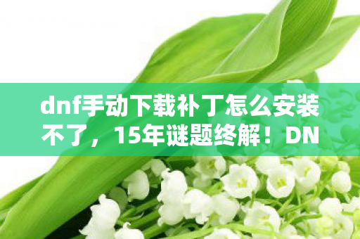 dnf手动下载补丁怎么安装不了,15年谜题终解!DNF补丁安装竟成关服前最后泪目仪式 dnf手动下载补丁怎么安装不了,15年谜题终解!DNF补丁安装竟成关服前最后泪目仪式