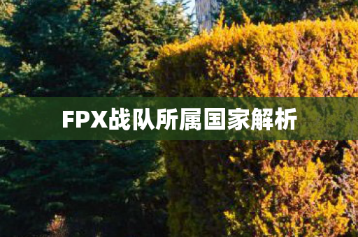 FPX战队所属国家解析图片