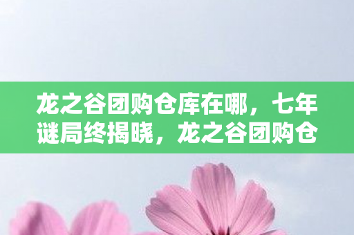 龙之谷团购仓库在哪,七年谜局终揭晓,龙之谷团购仓库的最后一封情书,泪目谢幕 龙之谷团购仓库在哪,七年谜局终揭晓,龙之谷团购仓库的最后一封情书,泪目谢幕