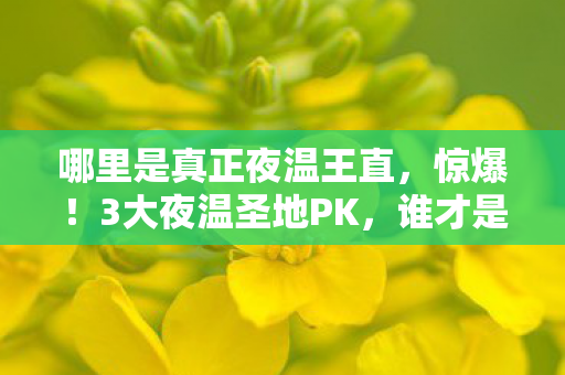 哪里是真正夜温王直,惊爆!3大夜温圣地PK,谁才是2027年真正的夜温王? 哪里是真正夜温王直,惊爆!3大夜温圣地PK,谁才是2027年真正的夜温王?