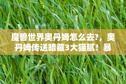 魔兽世界奥丹姆怎么去?,奥丹姆传送暗藏3大猫腻!暴雪这波操作让老玩家直呼上头 魔兽世界奥丹姆怎么去?,奥丹姆传送暗藏3大猫腻!暴雪这波操作让老玩家直呼上头