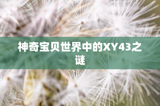神奇宝贝世界中的XY43之谜图片