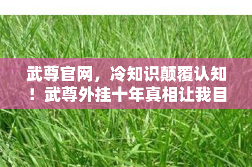 武尊官网,冷知识颠覆认知!武尊外挂十年真相让我目瞪口呆 武尊官网,冷知识颠覆认知!武尊外挂十年真相让我目瞪口呆