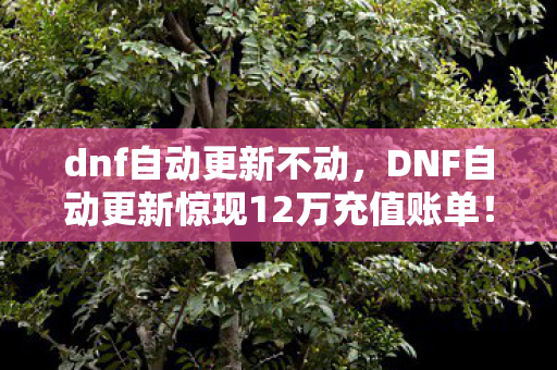 dnf自动更新不动,DNF自动更新惊现12万充值账单!离婚协议背后,我亲手拆家的隐情吓一跳 dnf自动更新不动,DNF自动更新惊现12万充值账单!离婚协议背后,我亲手拆家的隐情吓一跳