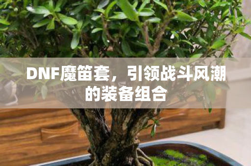 引领战斗风潮的装备组合图片